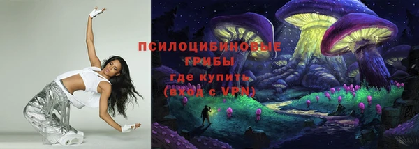 индика Богданович
