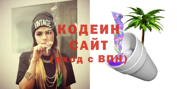 индика Богданович