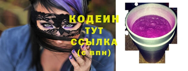 индика Богданович