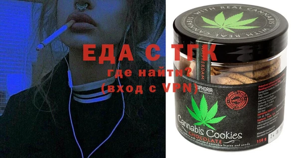 индика Богданович