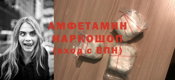 индика Богданович