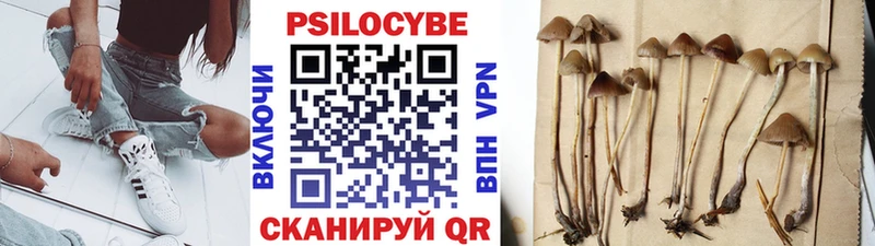 Псилоцибиновые грибы мухоморы  Бузулук 